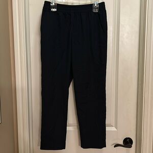 Everlane navy  size 8 pants with pockets